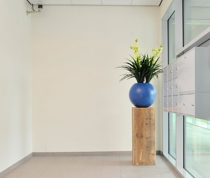 blauwe casacara met yucca bloem  (1 van 1)
